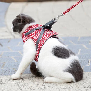 Cat Vest Harness & Leash Set